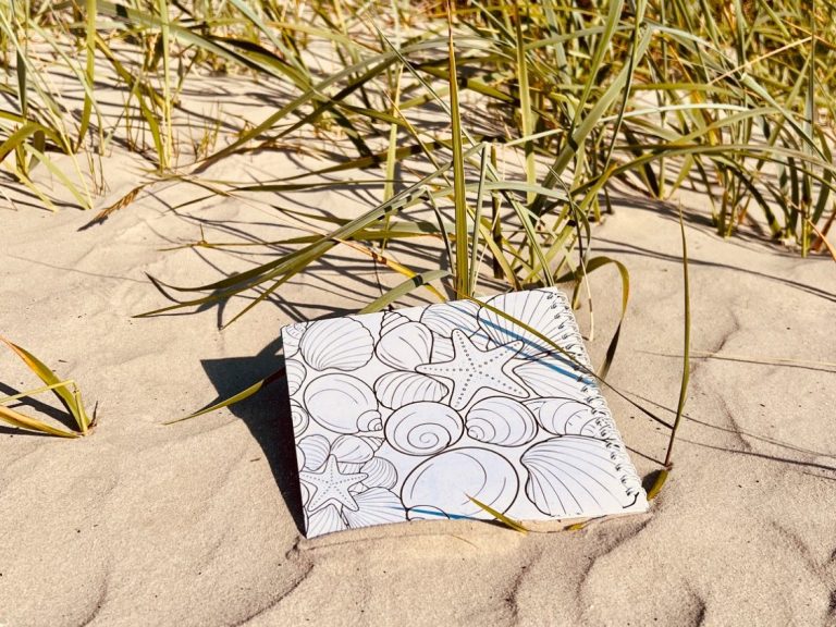 Hier ein Ausmalbild perfekt für einen ins Wasser gefallenen Strandtag, wenn der Regen tobt sind diese Muscheln zum Ausmalen da Beispielseite aus dem Malbuch mit Muscheln und Seestern im Sand als Offline-Beschäftigung mit Mehrwert